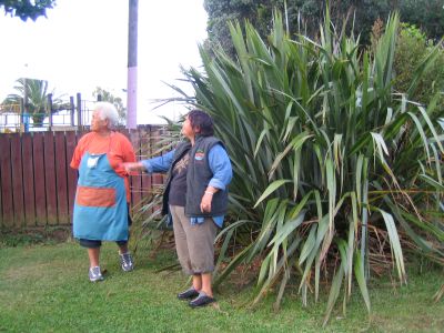 Celebrating the Flax plants and beings