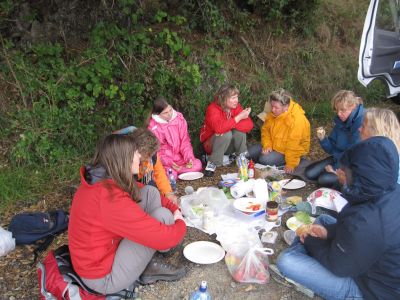 Kiwi Picnic