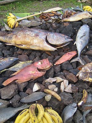 Fish on lava stones