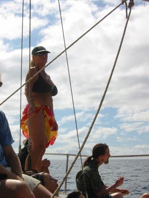 Whale wathing in Maui